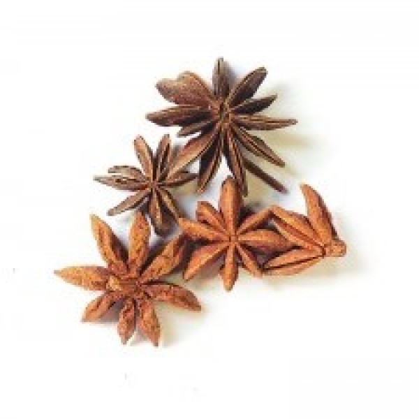 Αστεροειδής γλυκάνισος