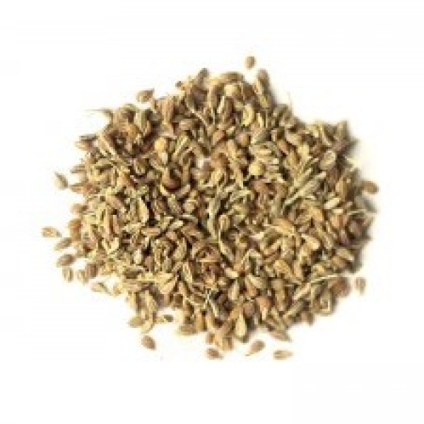 Γλυκάνισος Συρίας