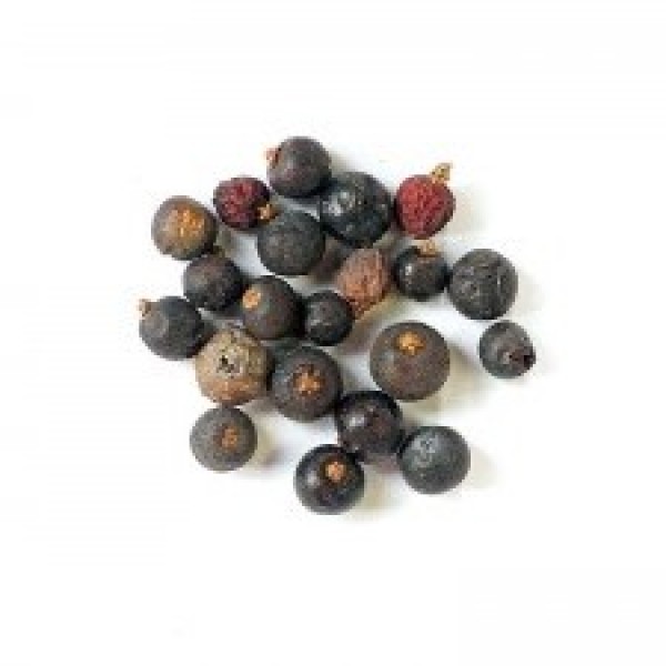 Αρκευθος (Κεδροκούκουτσο) Ρουμανίας