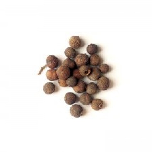 Μπαχάρι κόκκος Μεξικού