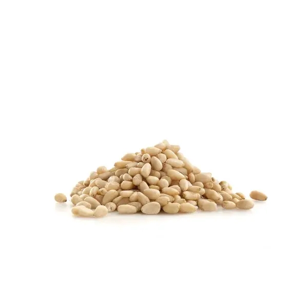 Κουκουνάρι ψίχα Κίνας