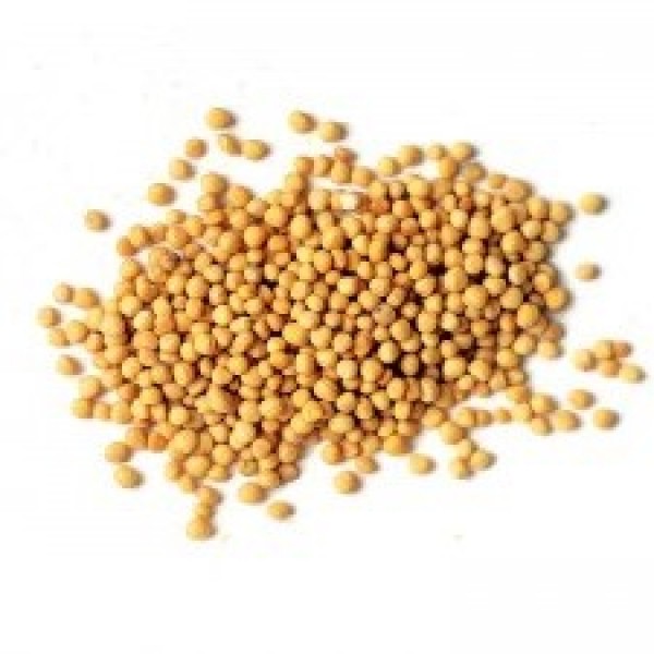 Σιναπόσπορος λευκός Ινδιών